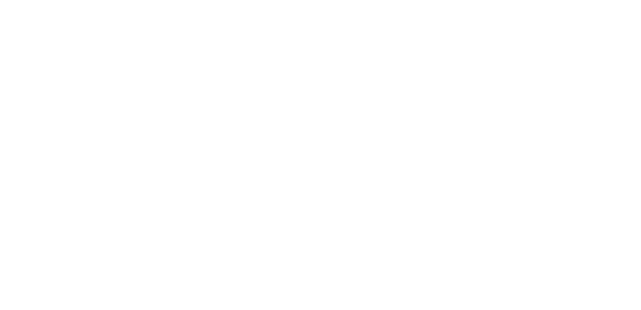 Rīgas Aeronavigācijas institūts
